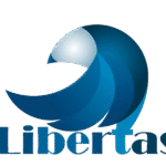 Documento de Síntesis – Serie DemocracIA