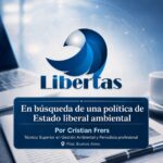 Estado Liberal Ambiental.